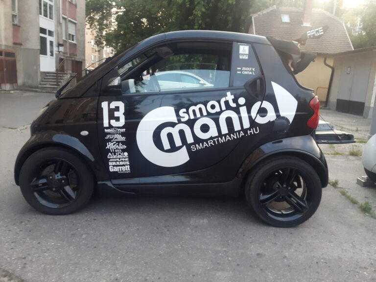 SMART MANIA SMART FORTWO 1