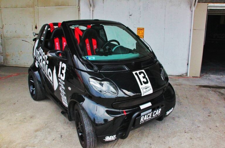SMART MANIA SMART FORTWO 4